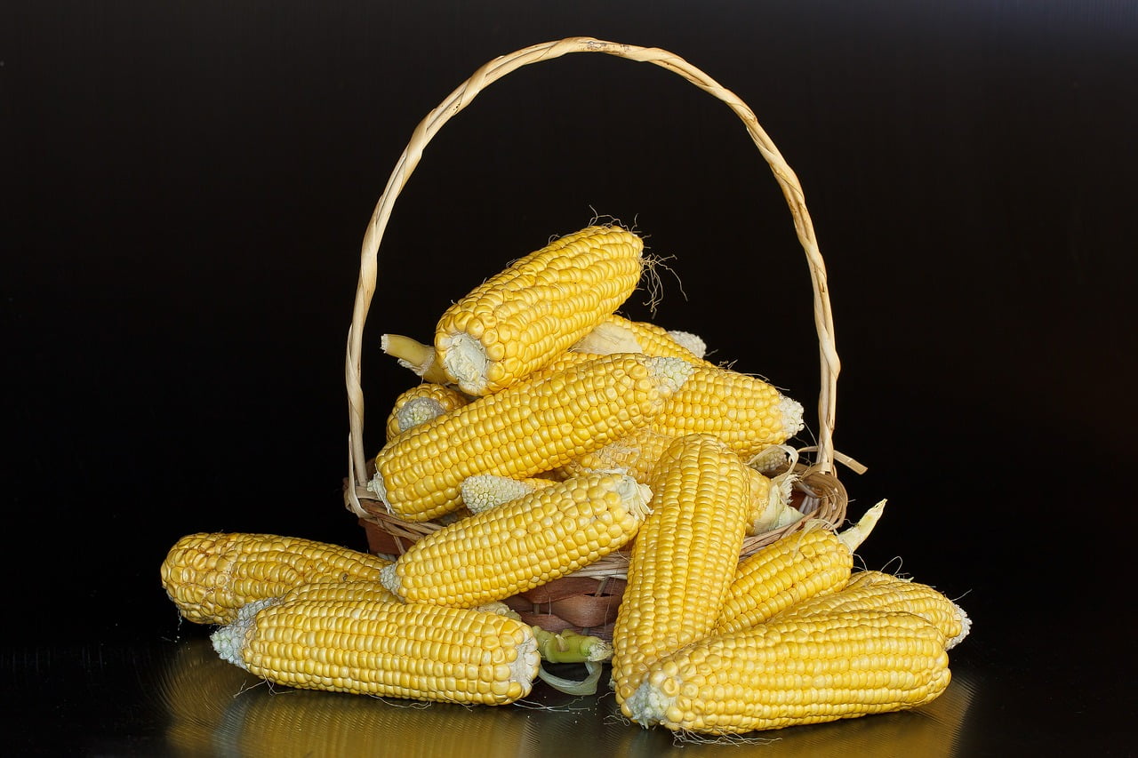 cornflour-kya-hota-hai-corn-flour-meaning-in-hindi